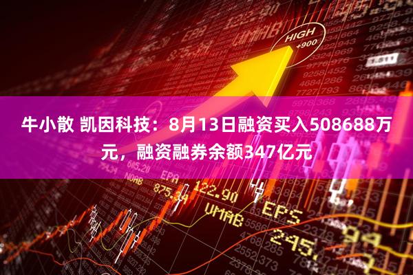 牛小散 凯因科技：8月13日融资买入508688万元，融资融券余额347亿元