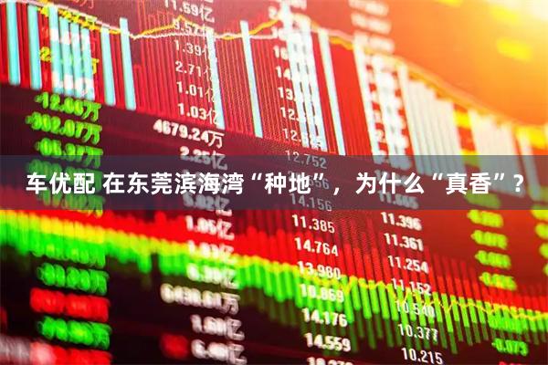 车优配 在东莞滨海湾“种地”，为什么“真香”？