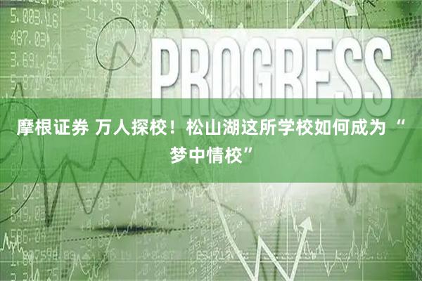 摩根证券 万人探校！松山湖这所学校如何成为 “梦中情校”