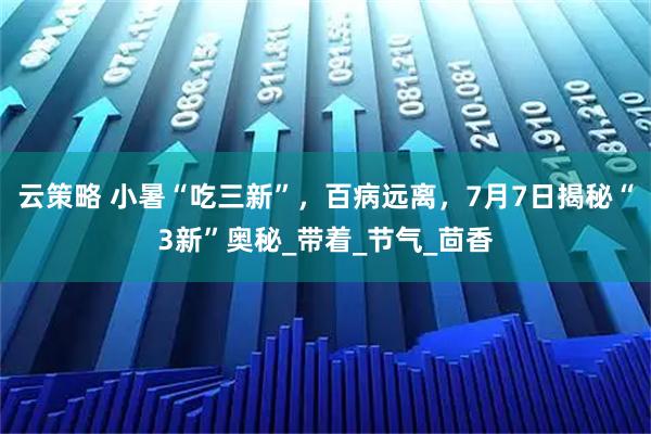云策略 小暑“吃三新”，百病远离，7月7日揭秘“3新”奥秘_带着_节气_茴香